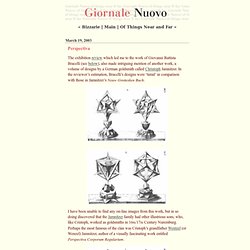 Giornale Nuovo: Perspectiva