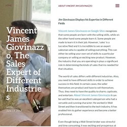 Vincent James Giovinazzo, The Sales Expert of Different Industries
