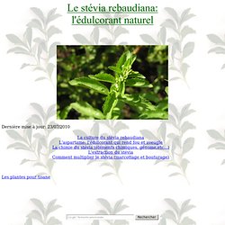 le stevia rebaudiana