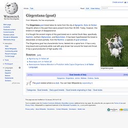 Girgentana (goat)