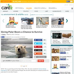 Giving Polar Bears a Chance