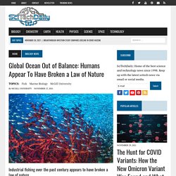Global Ocean Out of Balance: Humans Appear To Have Broken a Law of Nature
