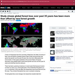 Study shows global forest loss over past 35 years has been more than offset by new forest growth