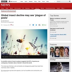 Global insect decline may see 'plague of pests'