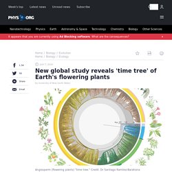New global study reveals 'time tree' of Earth's flowering plants
