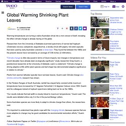 Global Warming Shrinking Plant Leaves