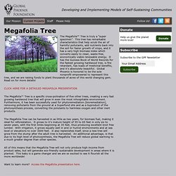 Megafolia Tree - Global Phoenix