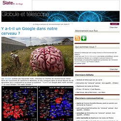 Y-a-t-il un Google dans notre cerveau ?