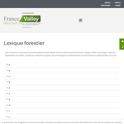 Lexique foret : glossaire et définition domaine forestier