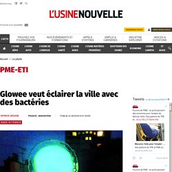 Glowee veut éclairer la ville avec des bactéries - La pépite
