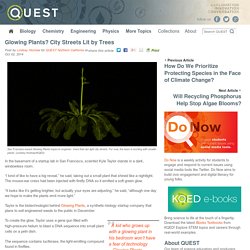 Glowing Plants? City Streets Lit by Trees