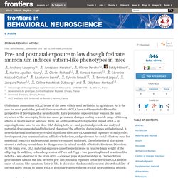 Pre- and Postnatal Exposure to Low Dose Glufosinate Ammonium Induces Autism-Like Phenotypes in Mice