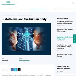 Glutathione and the Human Body