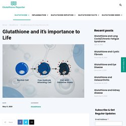 Glutathione and It’s Importance to Life