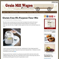 Gluten-Free All-Purpose Flour Mix