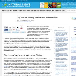Glyphosate toxicity to humans: An overview