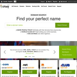 Go Daddy Domain Name Search Tool