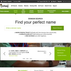 Advanced Domain Name Search Tool