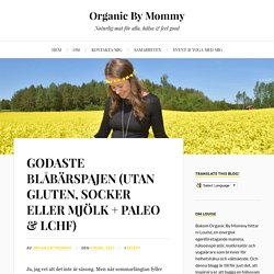 GODASTE BLÅBÄRSPAJEN (UTAN GLUTEN, SOCKER ELLER MJÖLK + PALEO & LCHF) – Organic By Mommy
