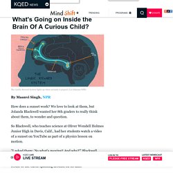 What's Going on Inside the Brain Of A Curious Child?