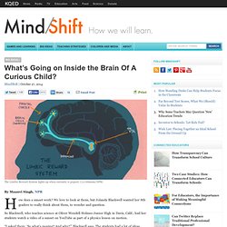 What’s Going on Inside the Brain Of A Curious Child?