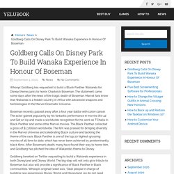 Goldberg Calls On Disney Park To Build Wanaka Experience In Honour Of Boseman – YeluBook