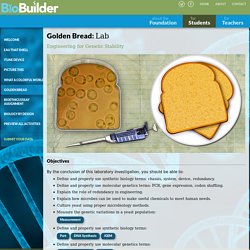 Golden Bread: Lab