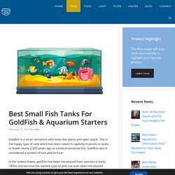 Best Small Fish Tanks For GoldFish & Aquarium Starters
