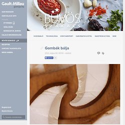 Gombák bálja – Bűvös Szakács – Gault&Millau Magyarország