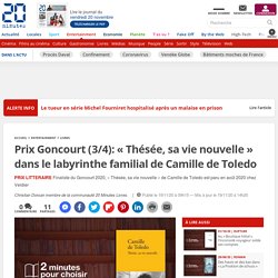 Prix Goncourt (3/4): « Thésée, sa vie nouvelle » dans le labyrinthe familial de Camille de Toledo...