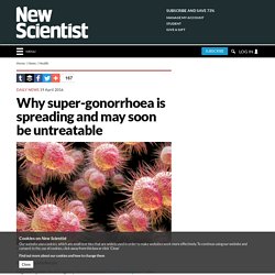 Why super-gonorrhoea is spreading and may soon be untreatable
