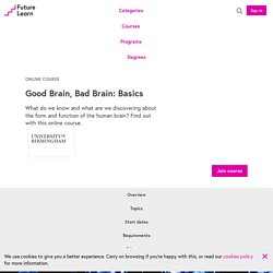 Good brain, bad brain: basics — University of Birmingham