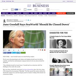 Jane Goodall Says SeaWorld 'Should Be Closed Down'