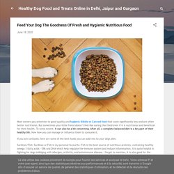Feed Your Dog The Goodness Of Fresh and Hygienic Nutritious Food