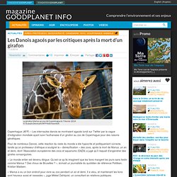 Les Danois agacés par les critiques après la mort d'un girafon