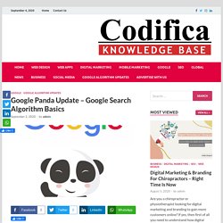 Google Panda Update – Google Search Algorithm Basics