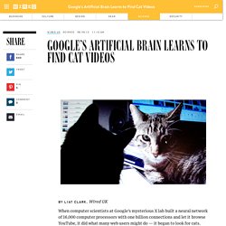 Google’s Artificial Brain Learns to Find Cat Videos