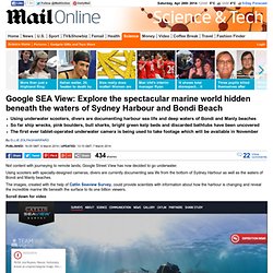 Google SEA View: Explore world beneath Sydney Harbour and Bondi Beach