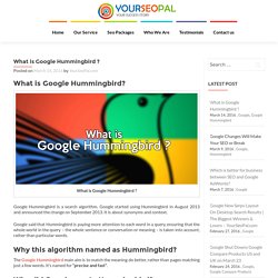 What is Google Hummingbird? – YourSeoPal.com
