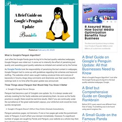 Google Penguin Update 2020 - Brandsbello