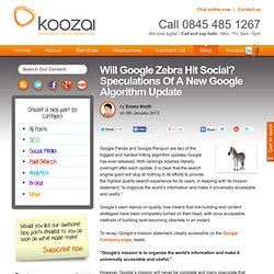 Will Google Zebra Hit Social? A Possible New Google Algorithm Update