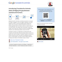 Google Translate for Animals
