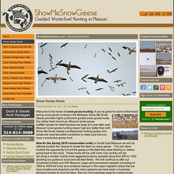 Snow Goose Hunts - ShowMeSnowGeese.com