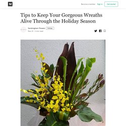 Tips to Keep Your Gorgeous Wreaths Alive Through the Holiday Season