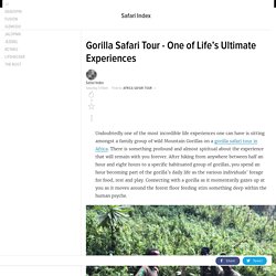 Gorilla Safari Tour - One of Life’s Ultimate Experiences