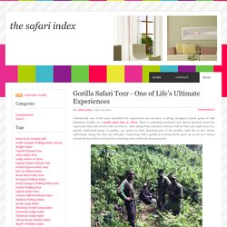 Several Gorilla Safari Tour Packages Tailored to Different Budgets