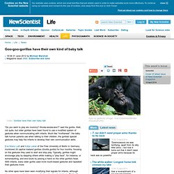 Goo-goo-gorillas have their own kind of baby talk - life - 01 June 2012