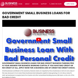 Government Small Business Loans Bad Credit