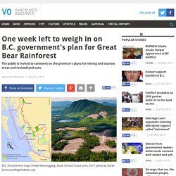 One week left to weigh in on B.C. government's plan for Great Bear Rainforest