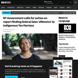 NT Government calls for action on report finding federal laws 'offensive' to Indigenous Territorians